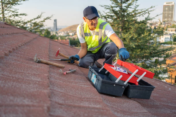 Best Storm Damage Siding Repair  in Brigantine, NJ